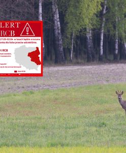 RCB ostrzega. Alerty dostali mieszkańcy tych województw