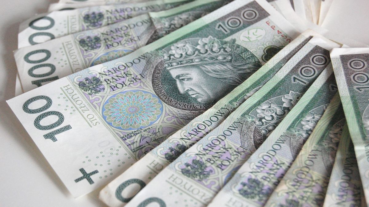 pieniądze, banknoty, gotówka, złoty, sto złotych, 100 złotych