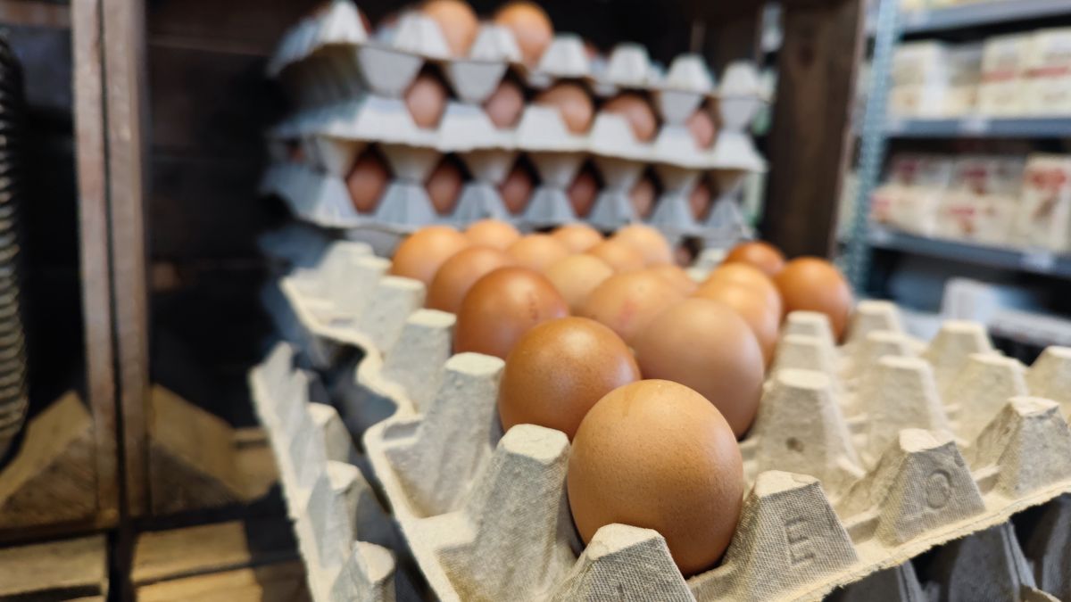 Ceny jaj w USA biją kolejne rekordy