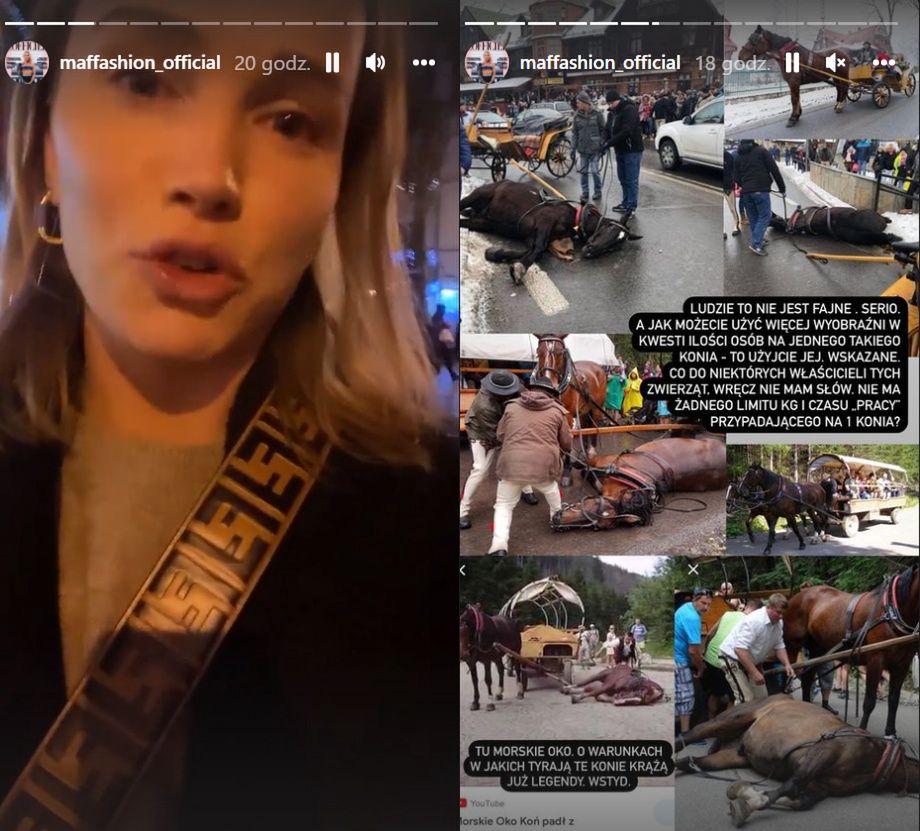 Maffashion broni koni z Krupówek 