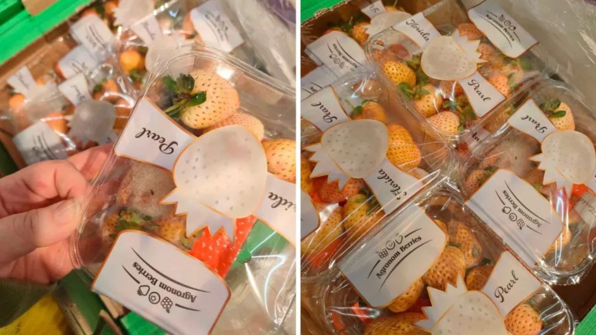 Spleśniałe truskawki w Biedronce. Klient: "To się nie mieści w g