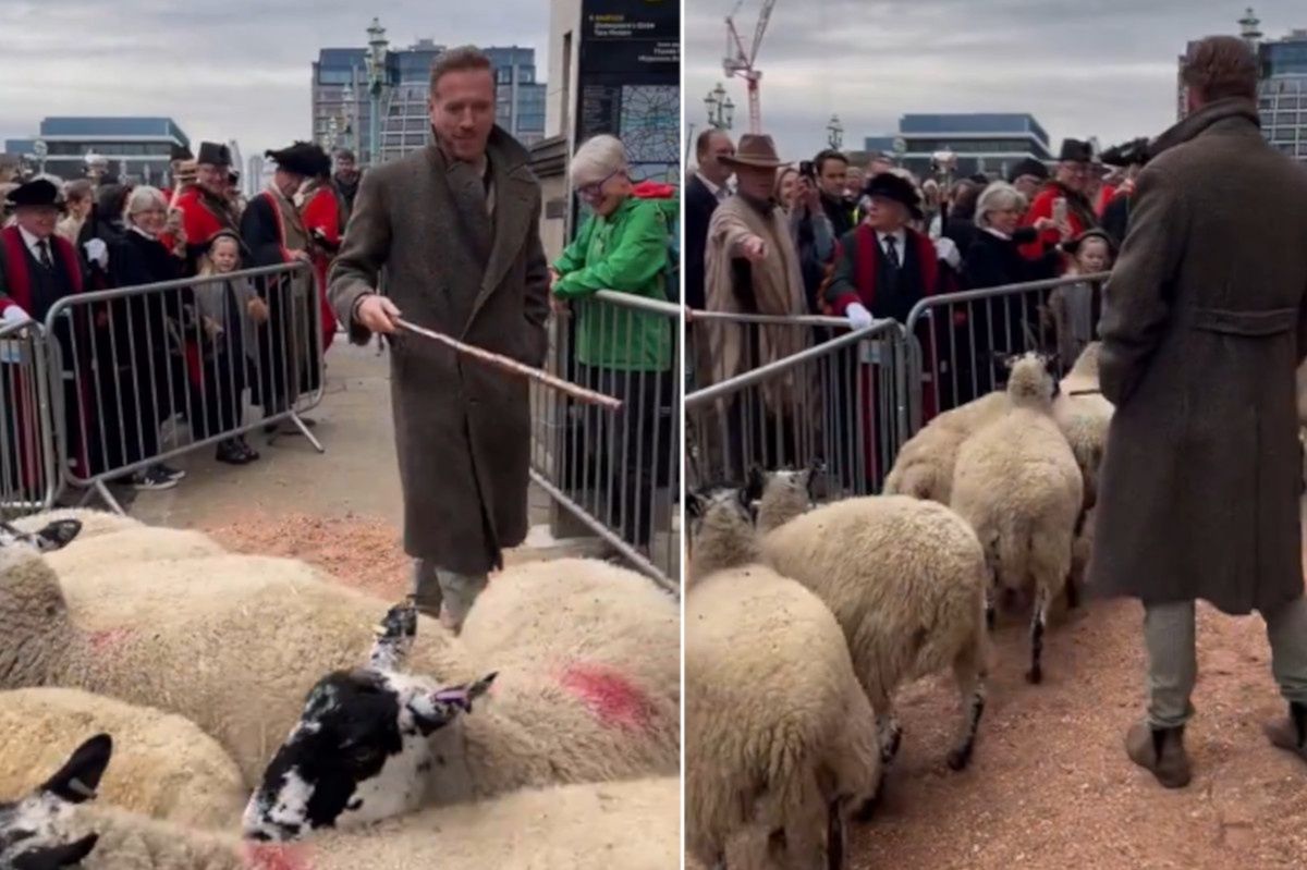 Damian Lewis leads flock in historic sheep march through London