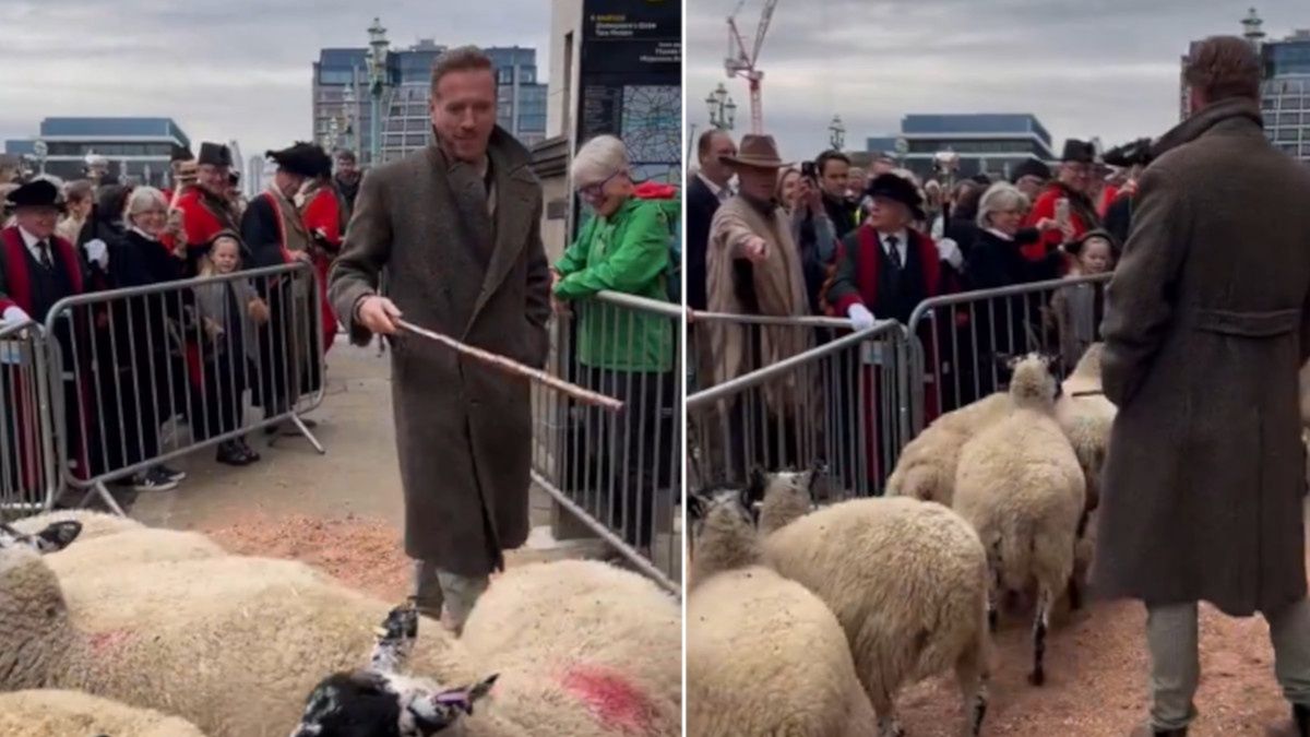 Owce przeszły przez centrum Londynu.