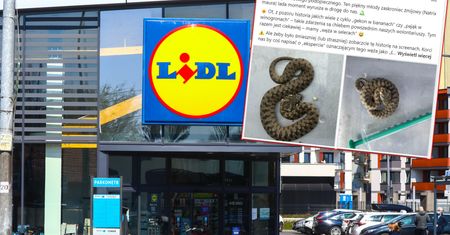 Znalazła węża w selerze. Lidl tłumaczy