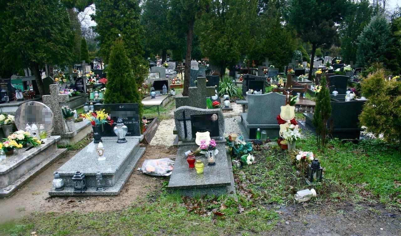 Polski "Manhattan" bezdomnych. Ogrzewana nora za pracę w zsypach