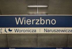Następna stacja: Wierzbno (SPACER)
