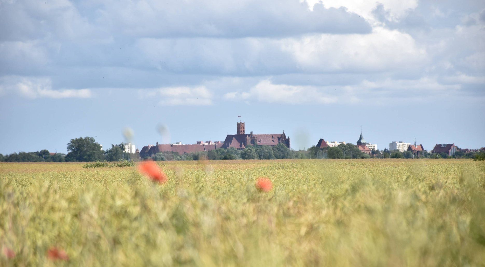 Plany budowy wiatraków w powiecie malborskim a miejsce zamku na liście UNESCO