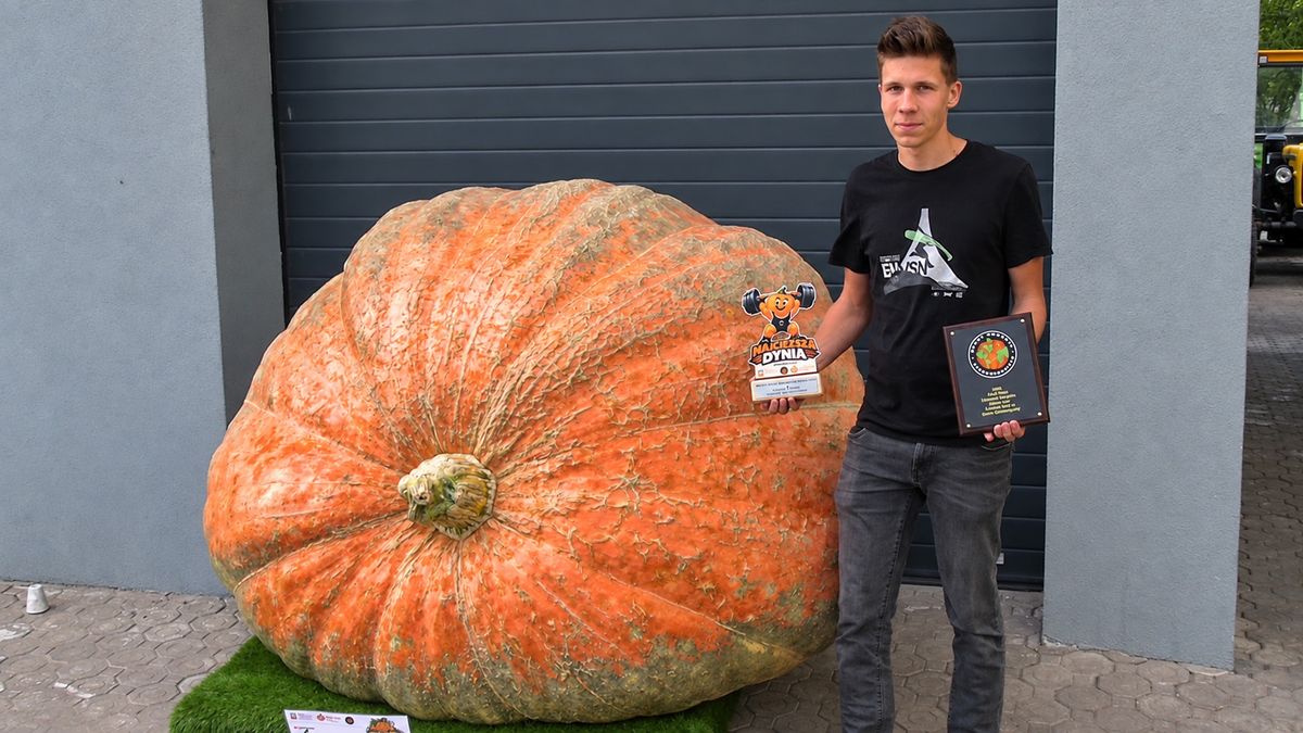 Krzysztof Olejniczak z dynią - gigantem