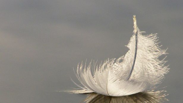 Opera Featherweight. Nowy projekt odmieni oblicze norweskiej przeglądarki? 1