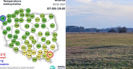 Wyjątkowy stan w pogodzie. Oto największa anomalia stycznia