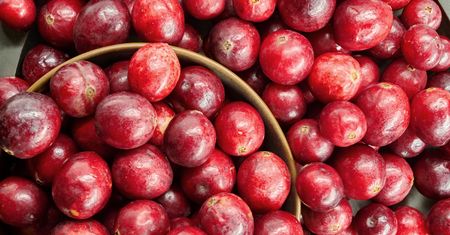 Na co pomaga żurawina i z czym smakuje najlepiej? Oto odpowiedź