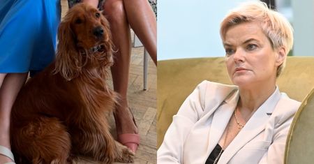 Monika Richardson pokazuje rachunek i podsumowuje klinikę weterynaryjną, w której zmarł jej pies. "Zabrakło przyzwoitości i empatii"
