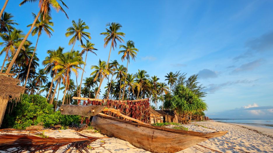Zanzibar, urlop, ciepłe kraje, palmy, palma, morze, wakacje
