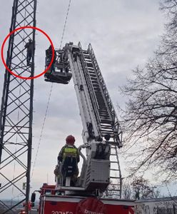 Wszedł na słup energetyczny. Wezwano negocjatorów. Porażające zdjęcia