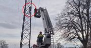 Wszedł na słup energetyczny. Wezwano negocjatorów. Porażające zdjęcia
