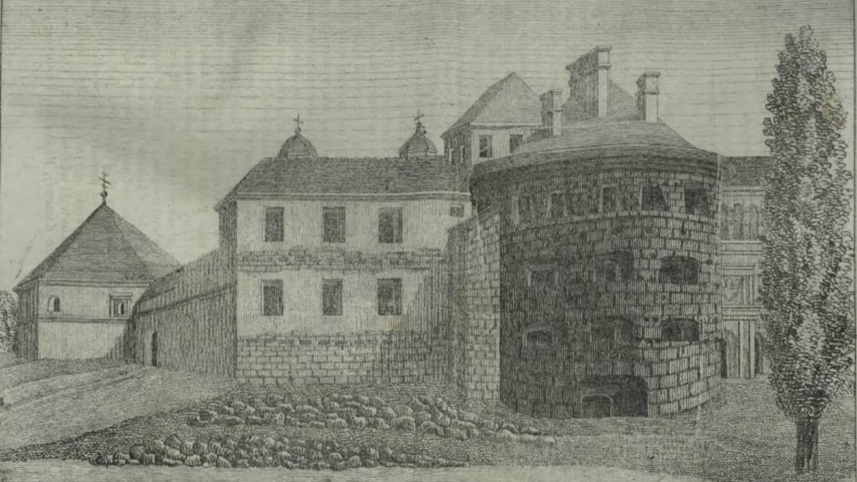 Zamek w Brzeżanach