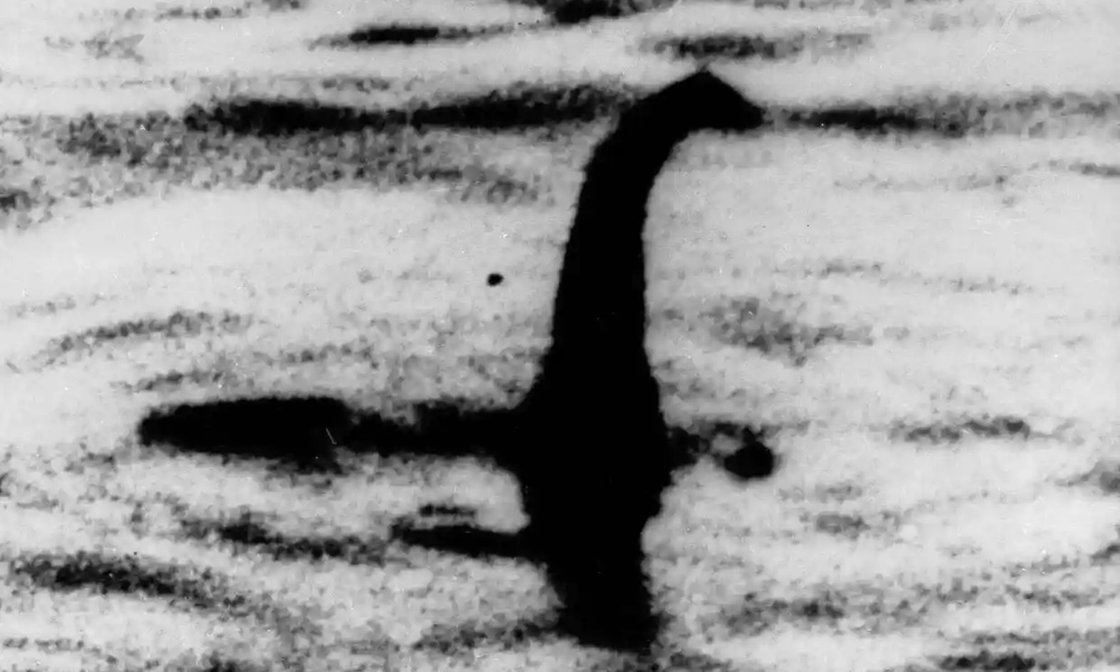 Znajdą potwora z Loch Ness? Zapowiadają wielkie poszukiwania