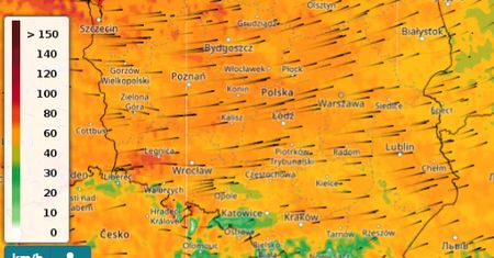 Pogoda. Niż Marie i wichura nad Polską. Są pierwsze zniszczenia