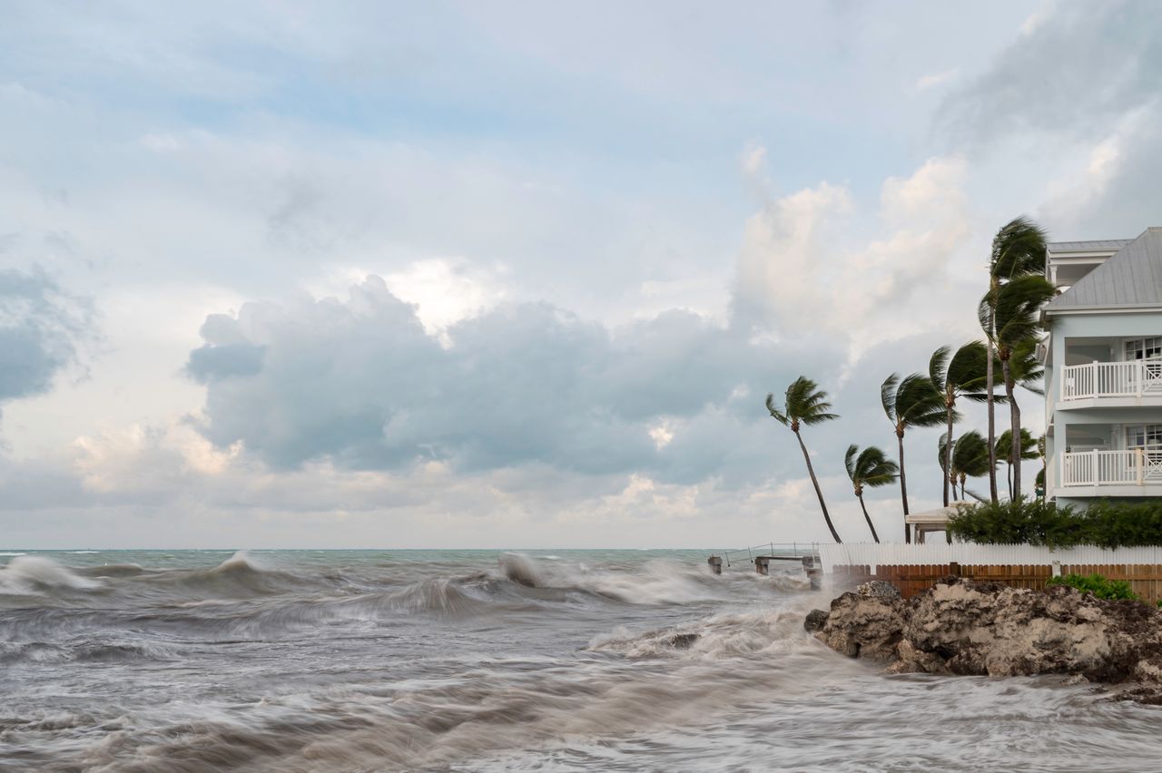 Hurricane Debby washes $1 million in cocaine ashore