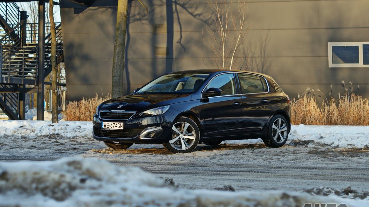 Zdjęcie ilustracyjne do artykułu