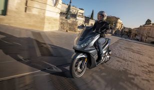 Hit sprzedaży w Polsce. Honda PCX125 cieszy się ogromną popularnością