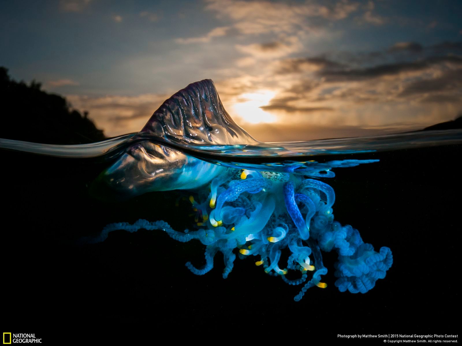 Zachwycają przyroda, czyli najlepsze zgłoszenia National Geographic Photo Contest 2015 2