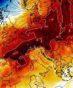 To aż niewiarygodne. Bardzo wysoka temperatura w Polsce