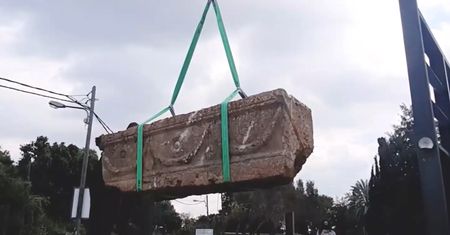 Niezwykłe odkrycie w izraelskim zoo