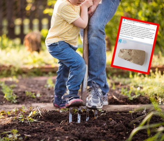 Sensacyjne odkrycie w Józefowie. Znalazła ją mama z dzieckiem