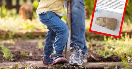 Sensacyjne odkrycie w Józefowie. Mama z dzieckiem znaleźli ją w ogrodzie