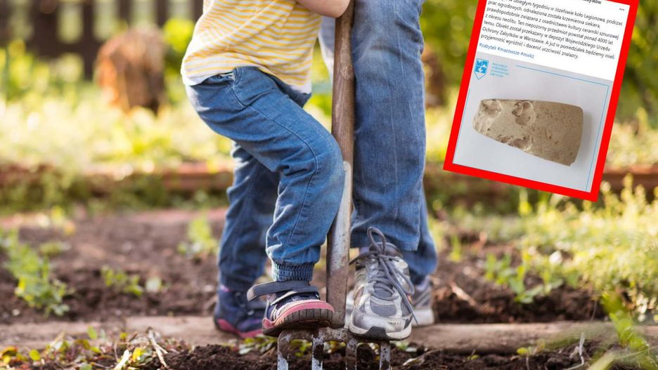 Sensacyjne odkrycie w Józefowie. Znalazła ją mama z dzieckiem