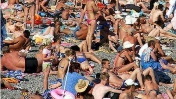 znajdź kota na plaży