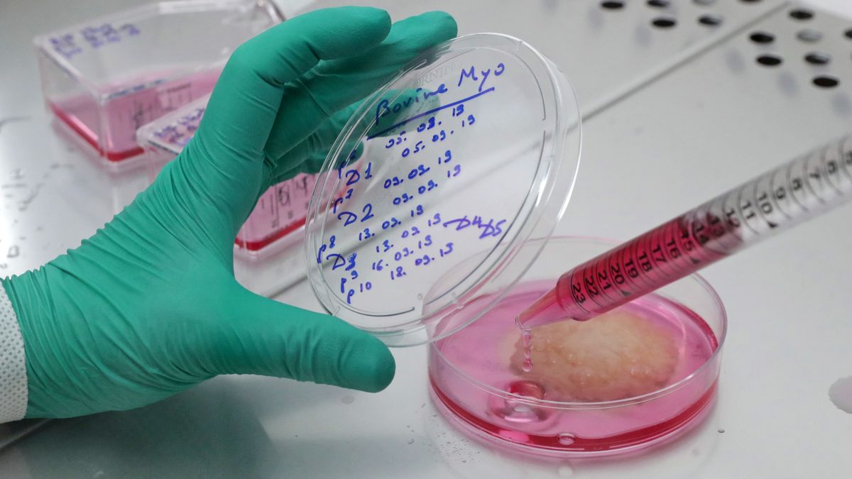 Nestle pracuje nad koncepcją mięsa z laboratorium.