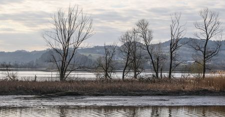 Dunajec. Wyłowiono ciało kobiety. Była poszukiwana