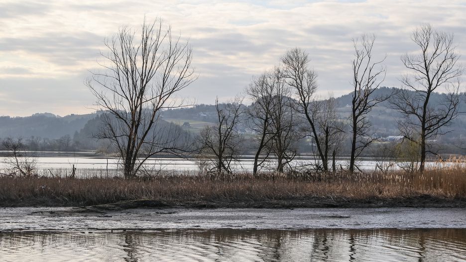 Dunajec. Wyłowiono ciało kobiety. Była poszukiwana (zdjęcie ilustracyjne)
