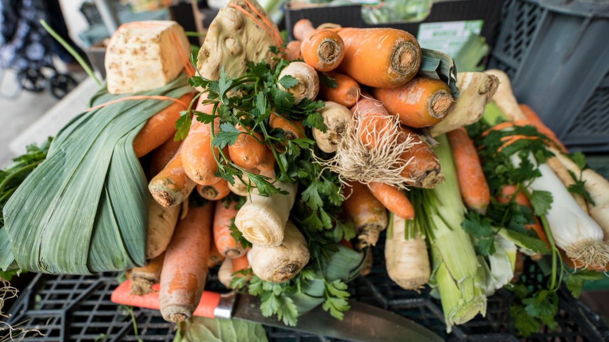 W Polsce brakuje krajowych warzyw, nie ma nawet cebuli i czosnku 