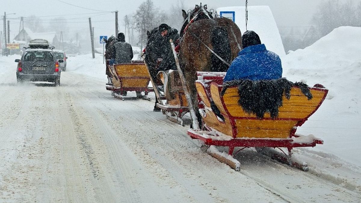 Zdjęcie ilustracyjne.