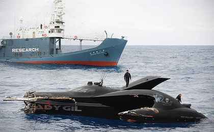 Wielorybnicy vs Sea Shepherd - trimaran uszkodzony! (wideo) 1