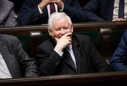 Najnowszy sondaż. Zaskakujący skok Konfederacji. PiS czuje oddech rywali na karku