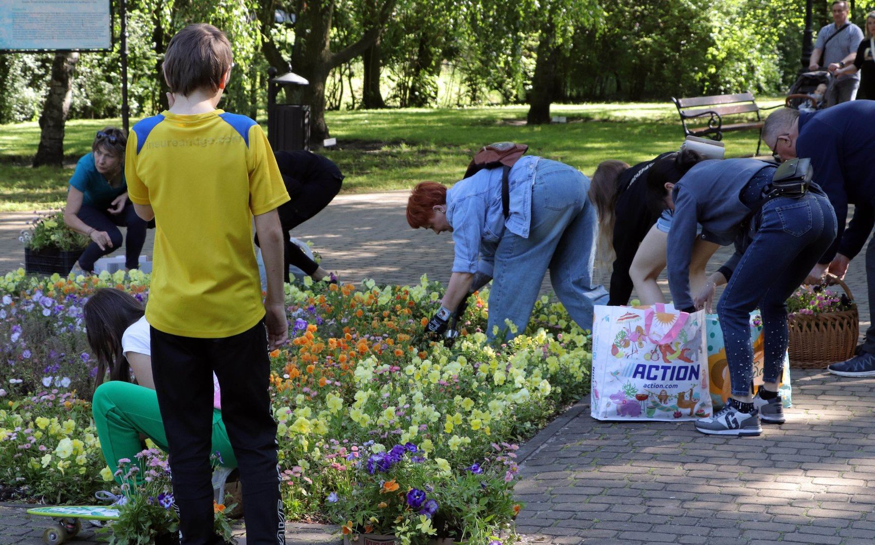 Grudziądzanie odebrali bratki i stokrotki przed wymianą wystroju &#34;Botanika&#34;