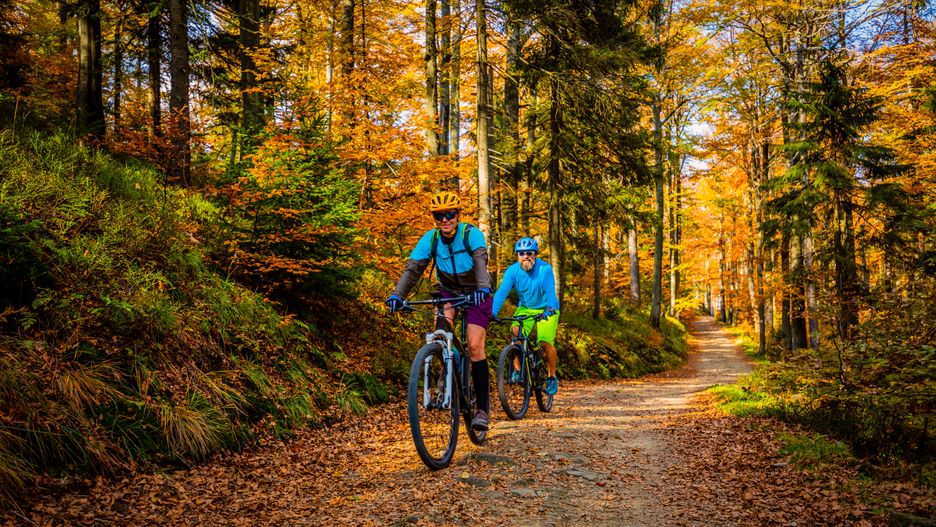 Cycling, mountain biker couple on cycle trail in autumn forest. Mountain biking in autumn landscape forest. Man and woman cycling MTB flow uphill trail.
bike, autumn, sunset, biking, mountain, active, bicycle, couple, forest, fall, people, lifestyle, cycling, nature, woman, healthy, trail, family, happy, sport, outdoor, helmet, leisure, adventure, health, outdoors, man, activity, riding, enjoying, girl, fitness, biker, cyclist, exercise, Beskidy, Poland, mountains