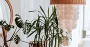 Mała wielka zmiana! Dodatki Monnarita, które stworzą wyjątkowy klimat wnętrza