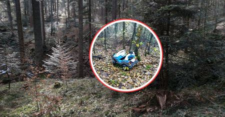 Leżał "rozbity" o drzewo. Leśnicy: prawdziwy off-road
