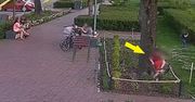 "Rodzice zajęci rozmową, a dzieci demolują klomby". Służby publikują zdjęcia