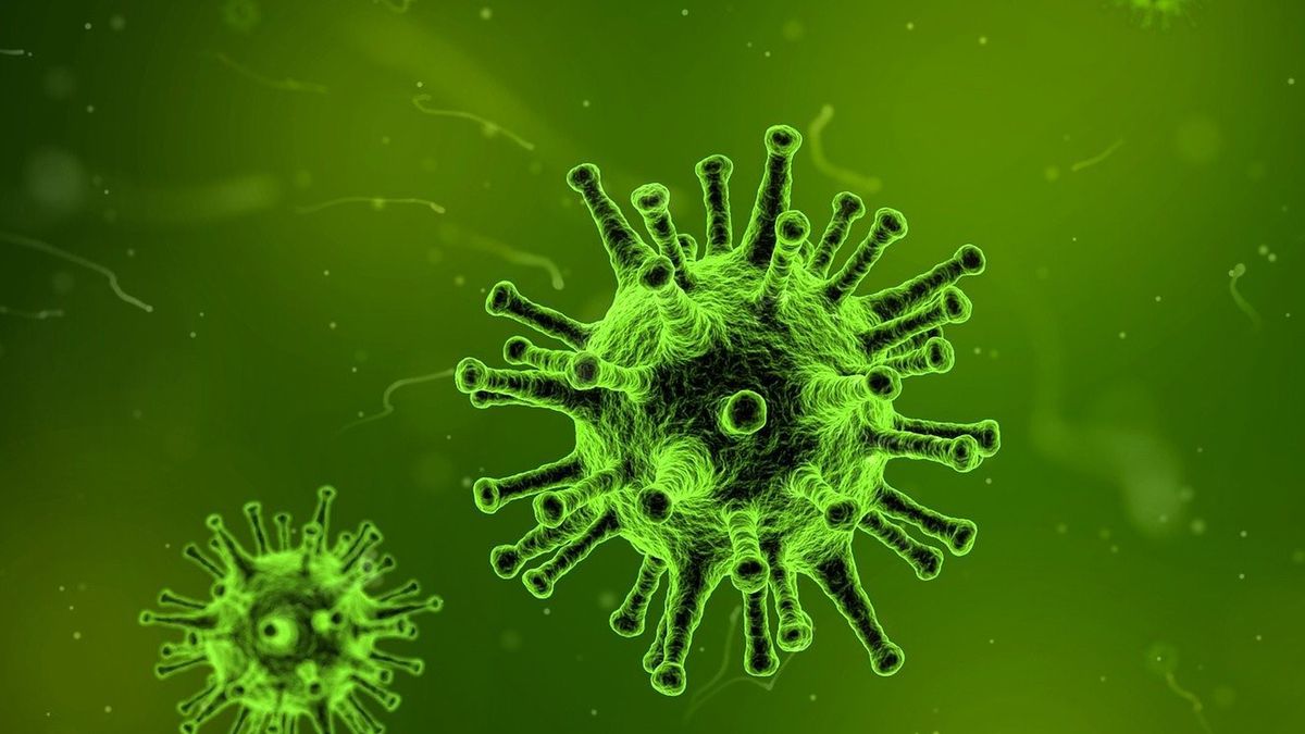 Pandemia skończy się za dwa miesiące?