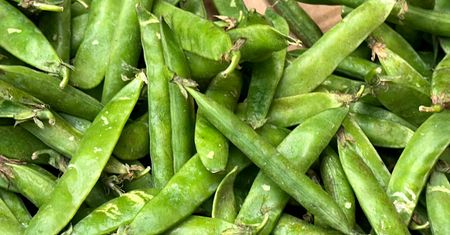 Zielony groszek. Letni superfood, o którym zapominamy