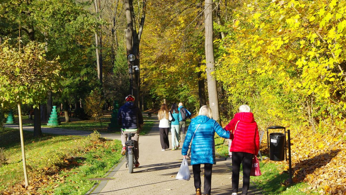 Polska jesie? 2024
Fot. Zofia i Marek Bazak/East News, wojewodztwo malopolskie. Zlota polska jesien w Beskidzie Sadeckim, Krynica Zdroj. N/z kuracjusze na jesiennym spacerze w Parku Slotwinskim.
ZOFIA BAZAK