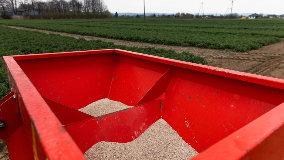 Zahamowanie napływu nawozów z Rosji ma pomóc w utrzymaniu rentowności europejskim producentom