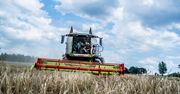 Ceny jęczmienia nowe zbiory 2025 – tyle zapłacą ci w skupie!