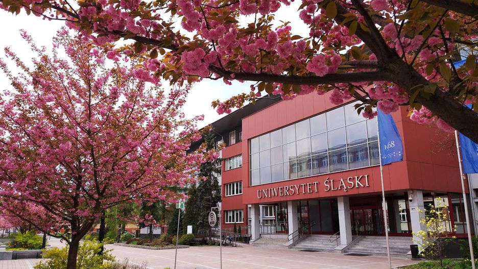 UŚ przestawia się na pracę zdalną.